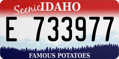 ID license plate E733977