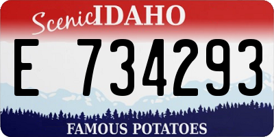ID license plate E734293