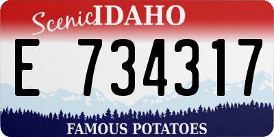 ID license plate E734317