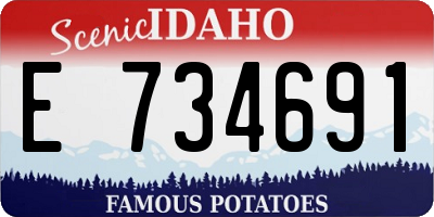 ID license plate E734691