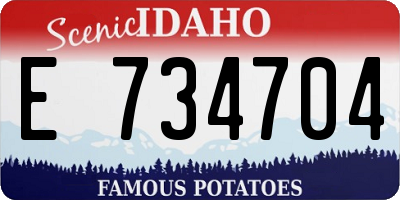 ID license plate E734704