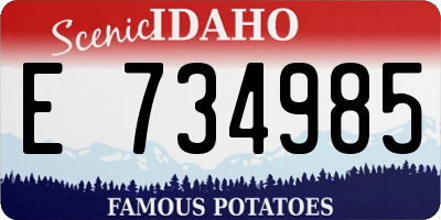 ID license plate E734985