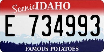 ID license plate E734993