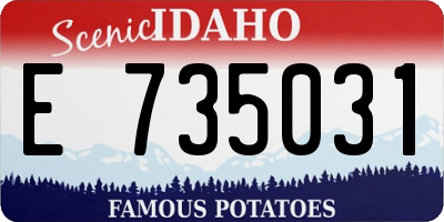ID license plate E735031