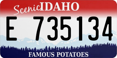 ID license plate E735134