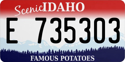 ID license plate E735303