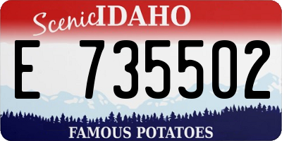 ID license plate E735502