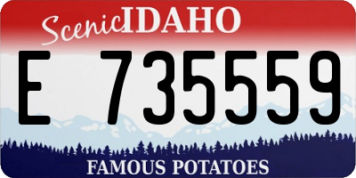 ID license plate E735559
