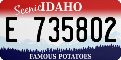 ID license plate E735802