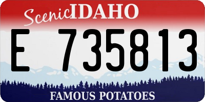 ID license plate E735813