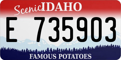 ID license plate E735903