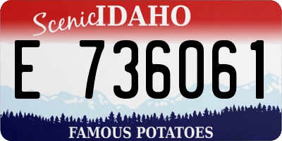 ID license plate E736061