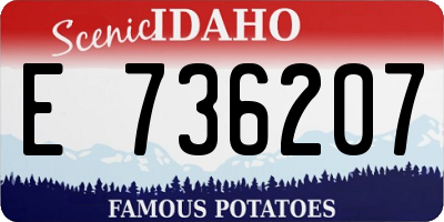 ID license plate E736207
