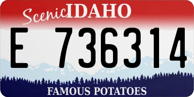 ID license plate E736314