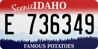 ID license plate E736349
