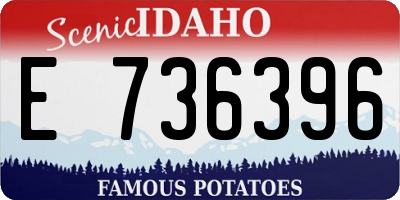ID license plate E736396