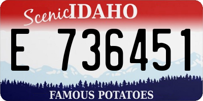 ID license plate E736451