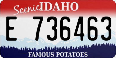 ID license plate E736463