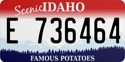ID license plate E736464
