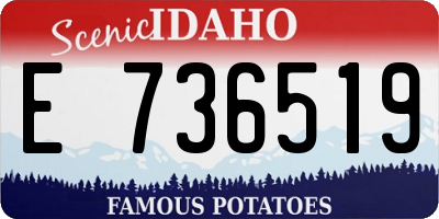 ID license plate E736519