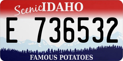 ID license plate E736532