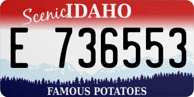 ID license plate E736553