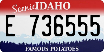 ID license plate E736555