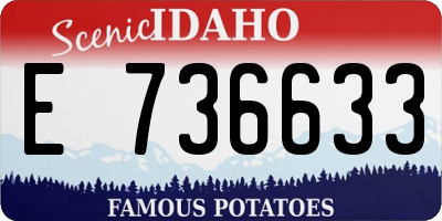 ID license plate E736633