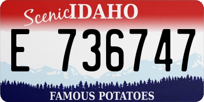 ID license plate E736747