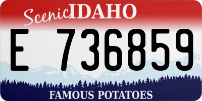 ID license plate E736859
