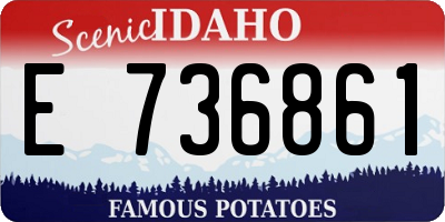 ID license plate E736861