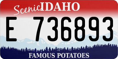 ID license plate E736893