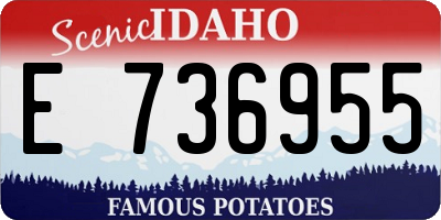 ID license plate E736955