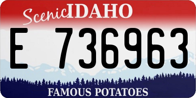 ID license plate E736963