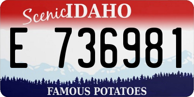 ID license plate E736981