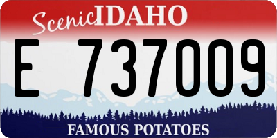 ID license plate E737009