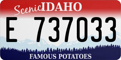 ID license plate E737033