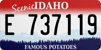 ID license plate E737119
