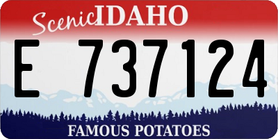 ID license plate E737124
