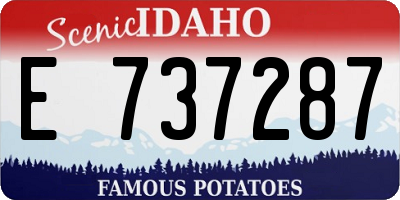 ID license plate E737287
