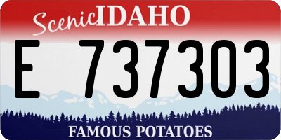 ID license plate E737303