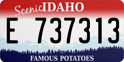 ID license plate E737313