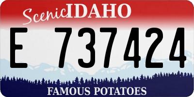 ID license plate E737424