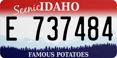 ID license plate E737484