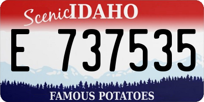 ID license plate E737535