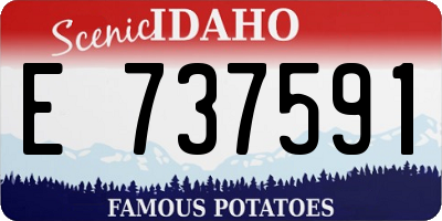 ID license plate E737591