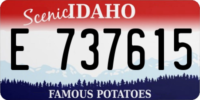 ID license plate E737615