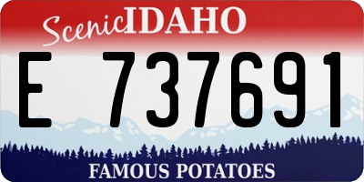 ID license plate E737691