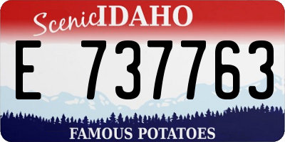 ID license plate E737763