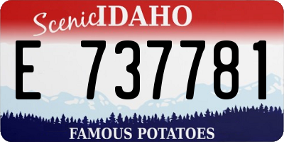 ID license plate E737781